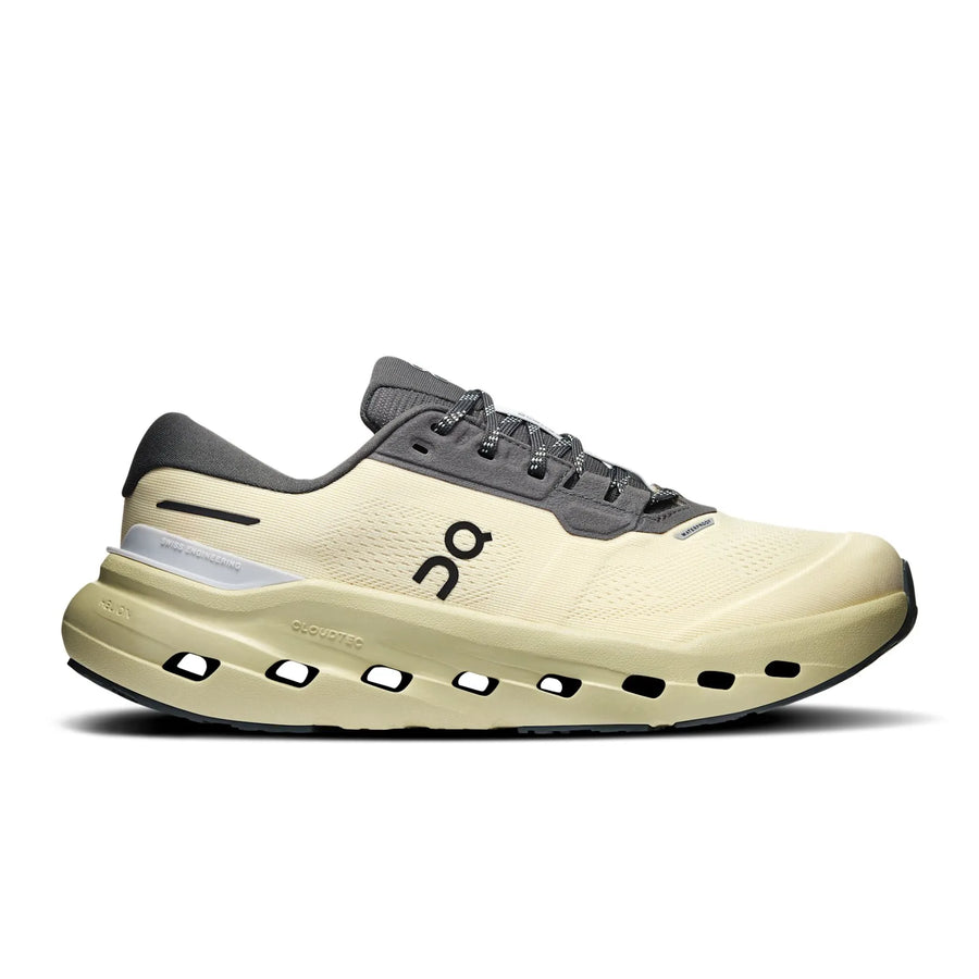 Cloudrunner 3 Waterproof coloris Pollen | Haze — vue 1